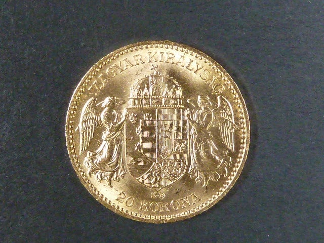 20 Koruna 1894 KB