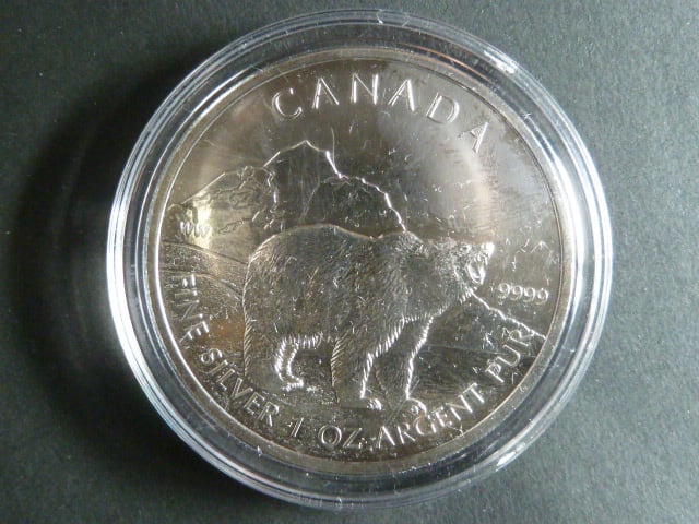 5 Dollars 2011 Medvěd 1 OZ Ag 999,9