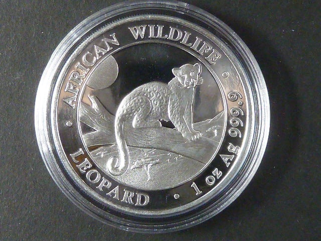 100 Shillings 2021 - leopard, kvalita proof, 1 OZ Ag 999,9 etue