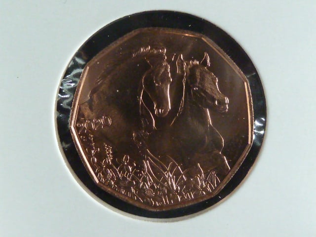 5 Euro 2020 koně
