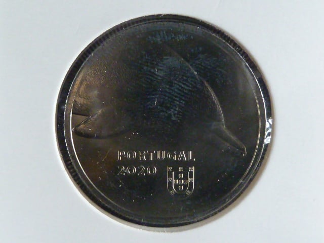 5 Euro 2020 Golfinho - comum