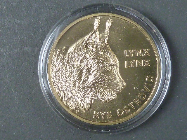 5 Euro 2022 Rys