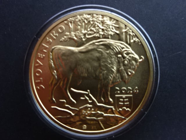 5 Euro 2024 Zubor Hrivnatý