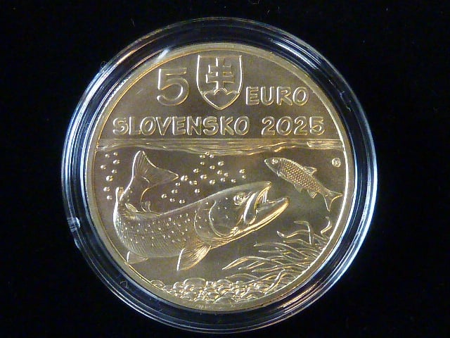 5 Euro 2025 Hlavátka Podunajská
