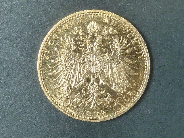 20 Koruna 1894