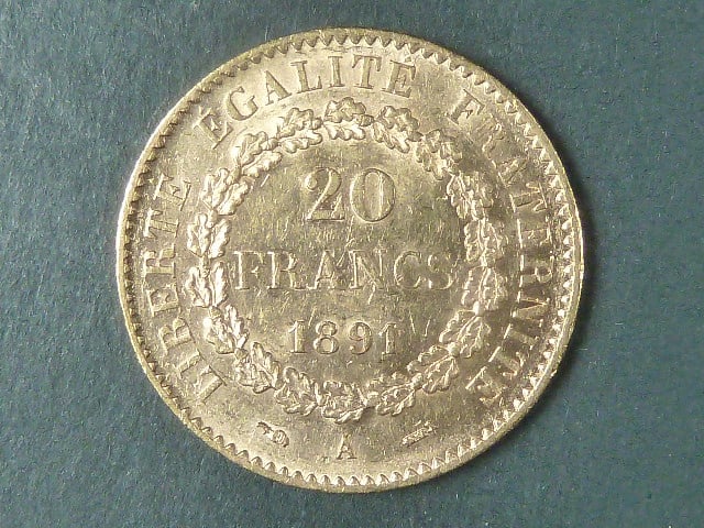 20 Frank 1891 A
