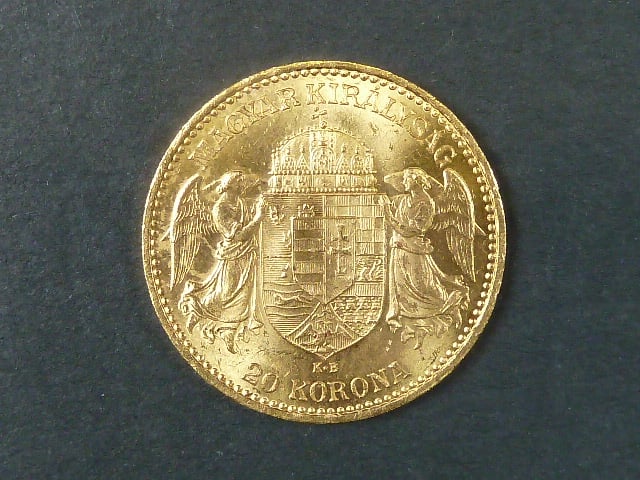 20 Koruna 1895 KB