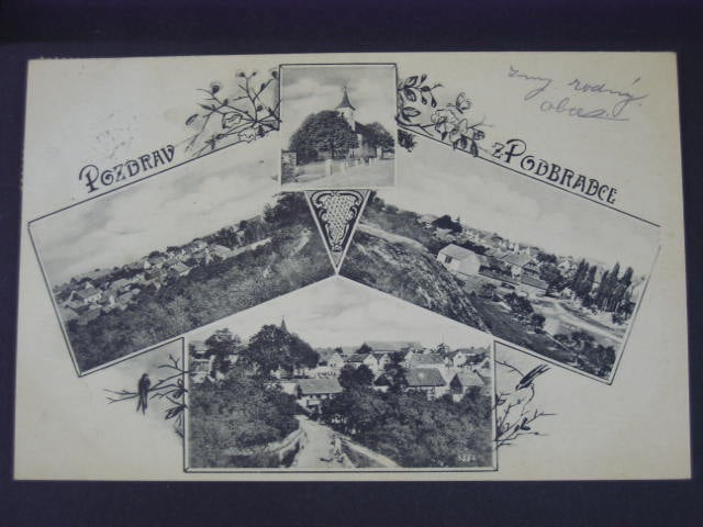Podbradce čtyřzáběrová, prošlá
