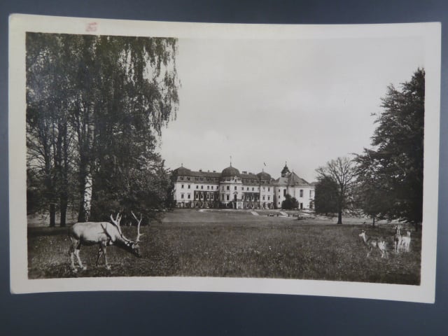 Lány, prošlá 1946