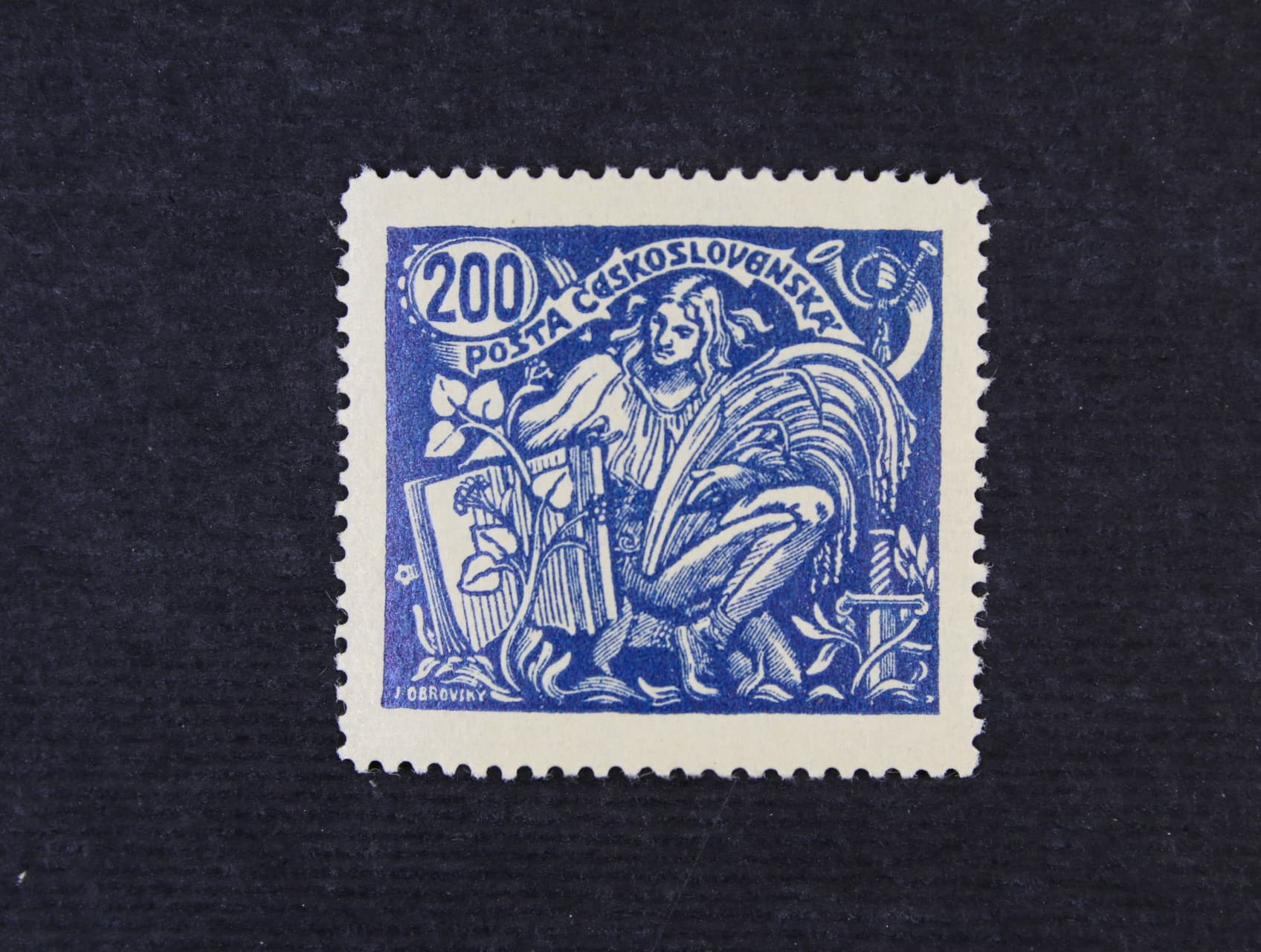 zn. č. 174A, III.typ, zk. Vrba