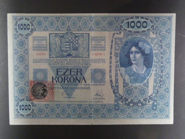1000 K 1902 série 1207, kolkovaná , typ B2, šedý podtisk, natržená